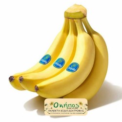 Μπανάνες Chiquita  1kg  (4 έως 5 τεμ)